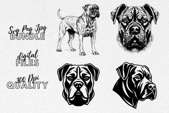 Cane Corso SVG – Dog Breed Clipart Review