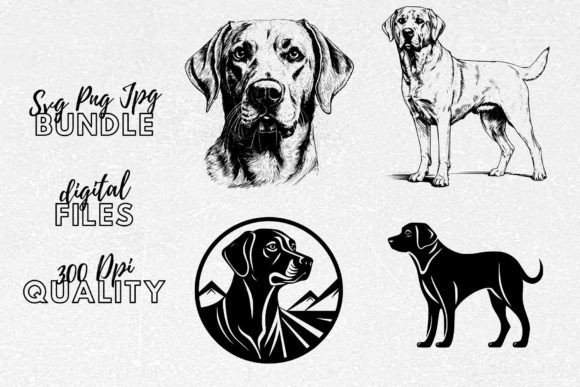 Labrador Retriever SVG – A Designer's Project Review