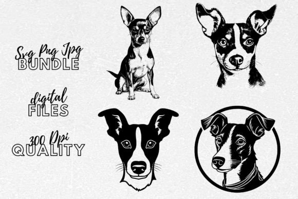Rat Terrier SVG Review: Dog Breed Clipart for Embroidery