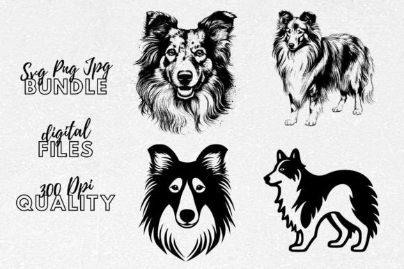 Shetland Sheepdog SVG - Dog Clipart for Embroidery